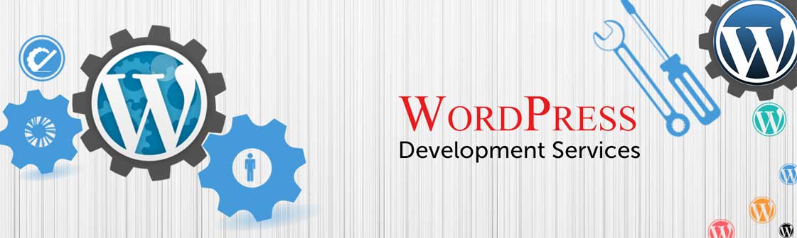 Wordpress Development Services Company vikaspuri new delhi
